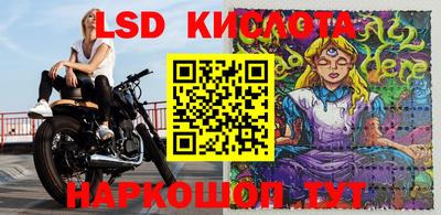 спиды Краснодар